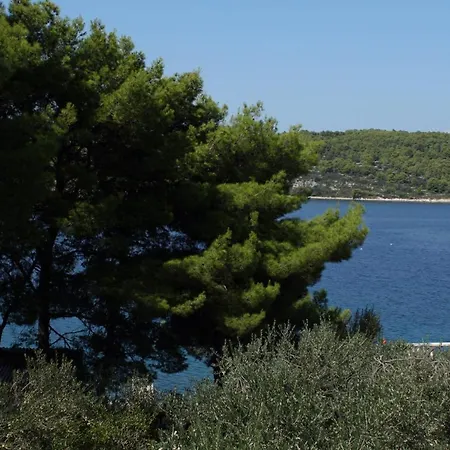 Apartman By The Sea Necujam, Solta - 5162