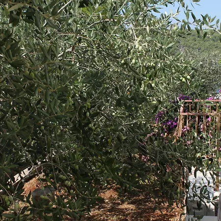 Apartman By The Sea Necujam, Solta - 5162 Stomorska