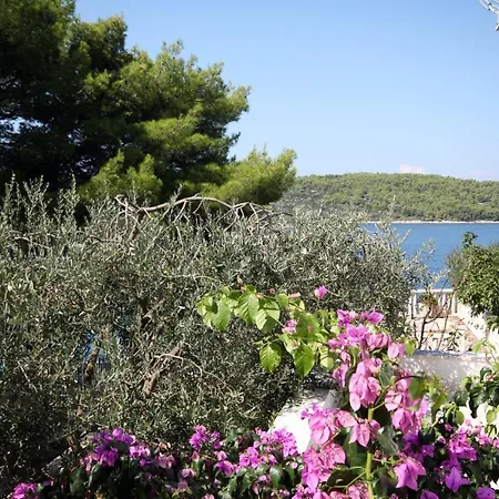 By The Sea Necujam, Solta - 5162 아파트 스토모르스카